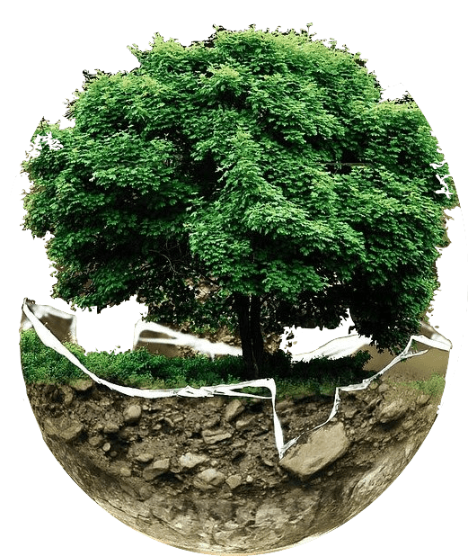 spectacles ecologique